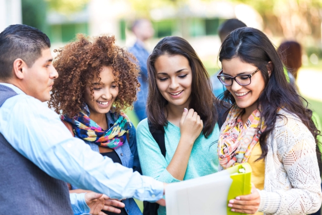 Research analyst reviewing sampling framework documentation and incidence rate data